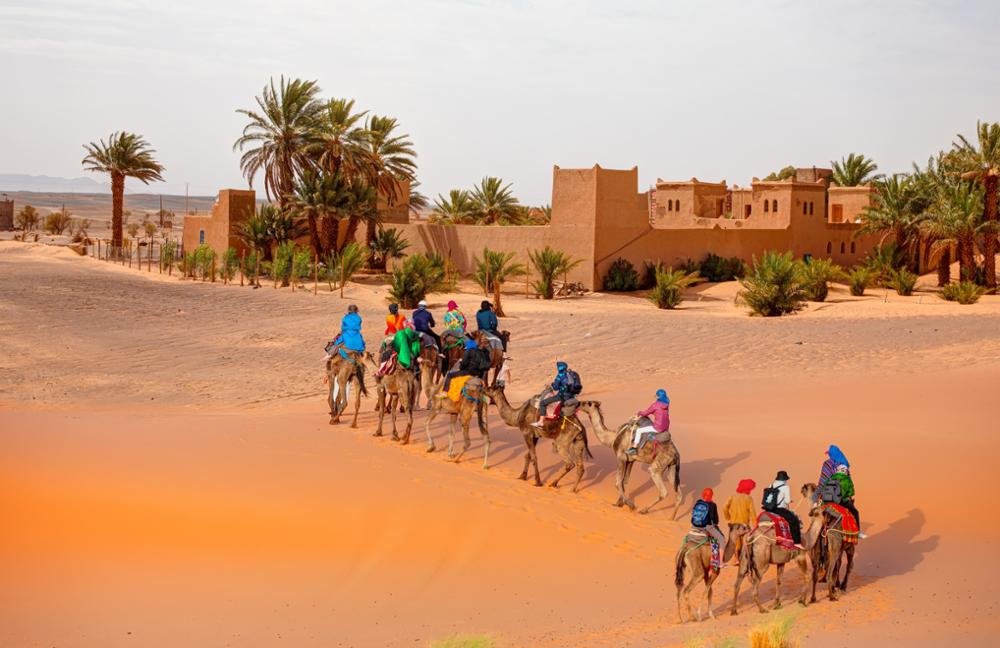 Caravana de camellos en las dunas de Merzouga al atardecer